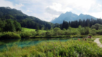 Zelenci