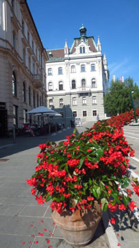 Ljubljana u cvecu